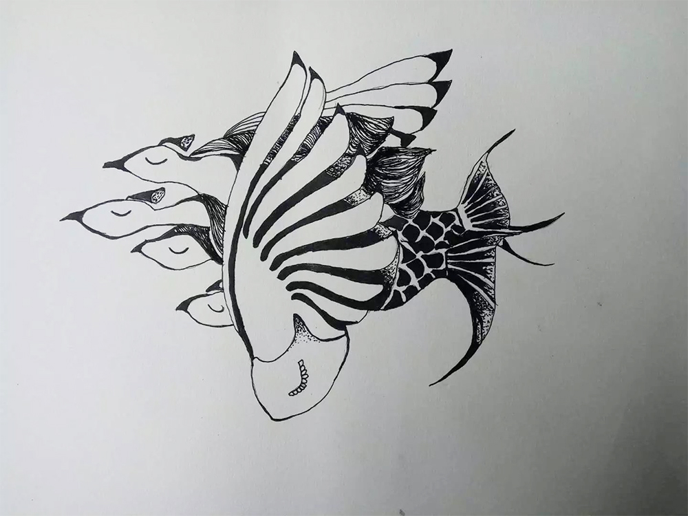 1575730176371037.jpg